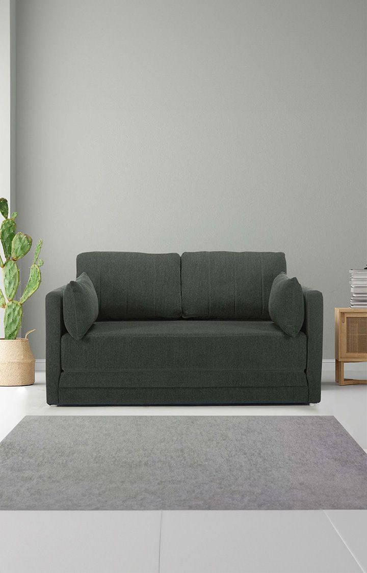 neudot Max Fabric Pull-Out Sofa Cum Bed for Living Room | 2 Seater Sofa Bed for Drawing Room & Bedroom | Diwan | Astro Grey Color