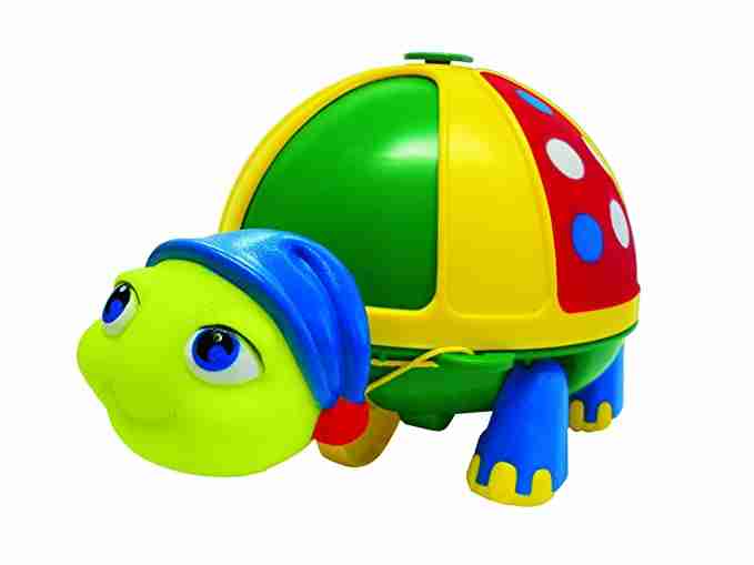 Roly Poly Turtle