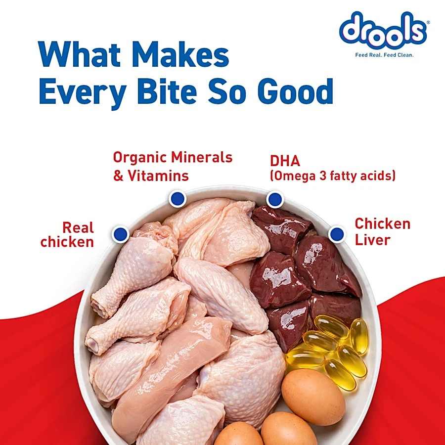 Drools Real Chicken & Liver Chunks In Gravy Wet Food For Puppy, 60g