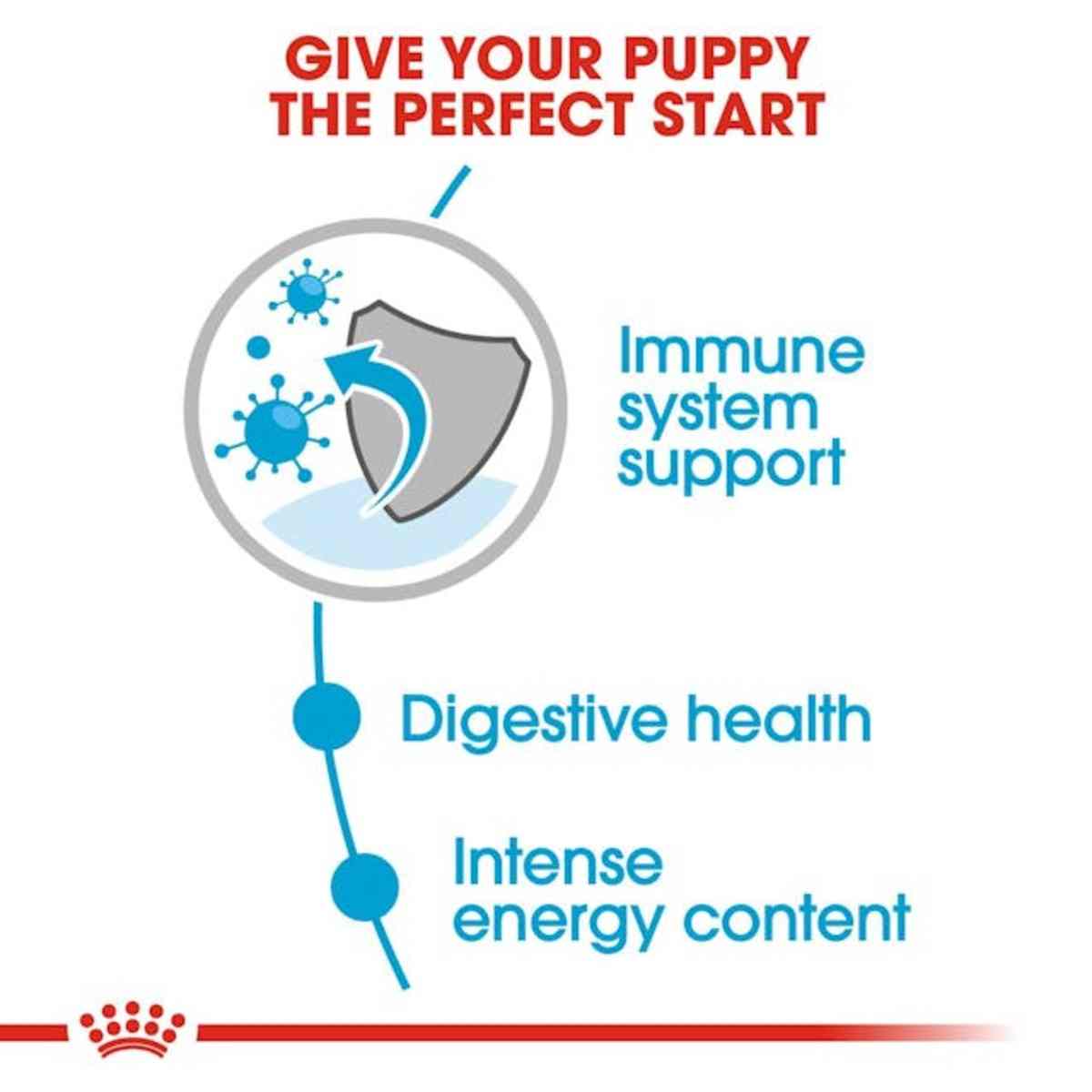 Royal Canin Mini Puppy Wet Dog Food - 85 g