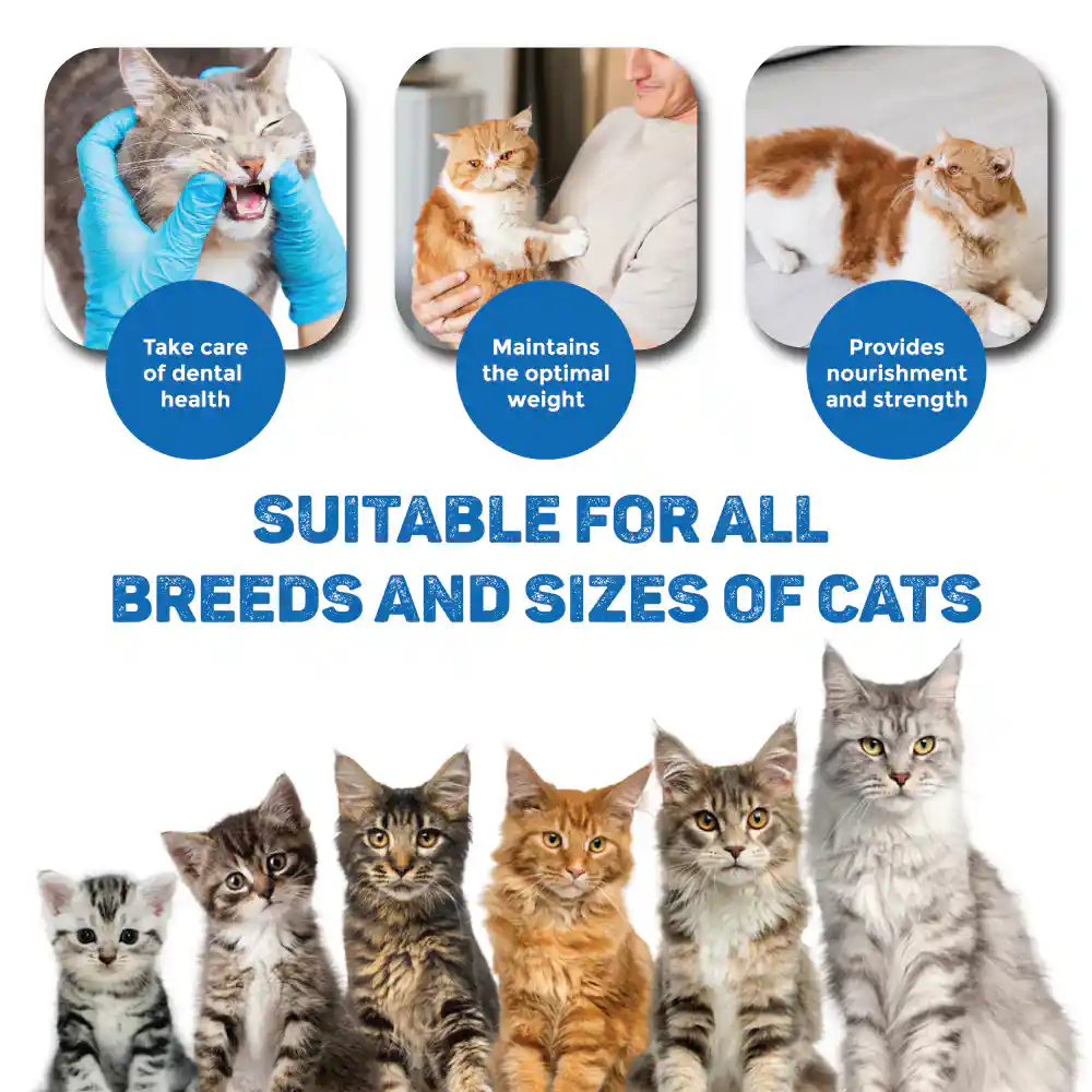 Trixie Creamy Snack With Shrimp Cat Treats, 5 x 14 g