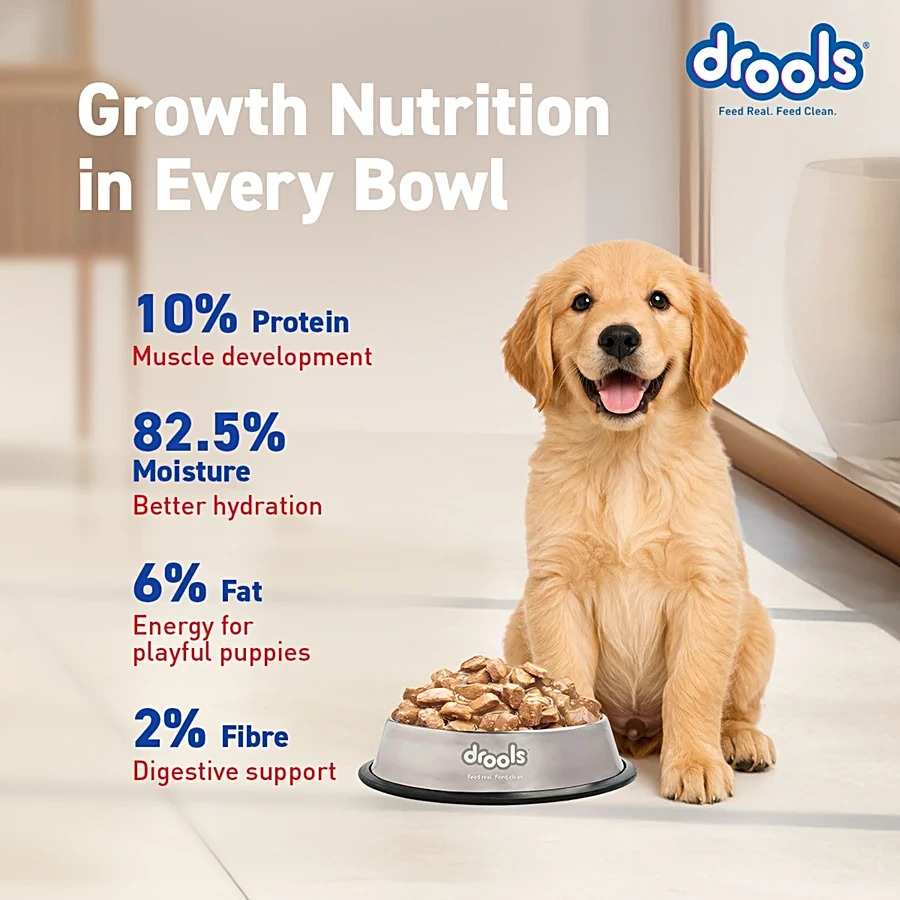 Drools Real Chicken & Liver Chunks In Gravy Wet Food For Puppy, 60g