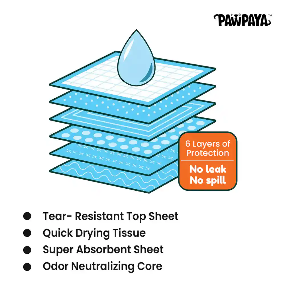 Pawpaya Carbon Training Pad for Dogs