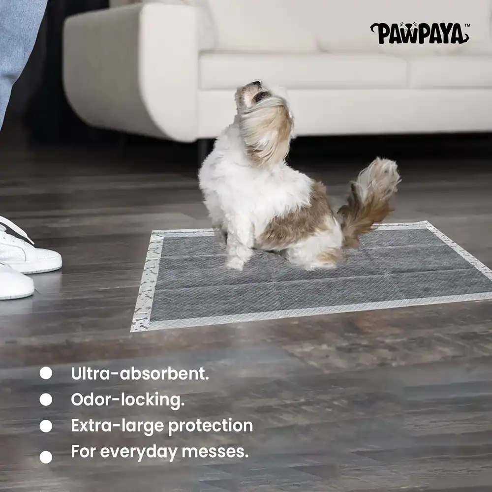 Pawpaya Carbon Training Pad for Dogs