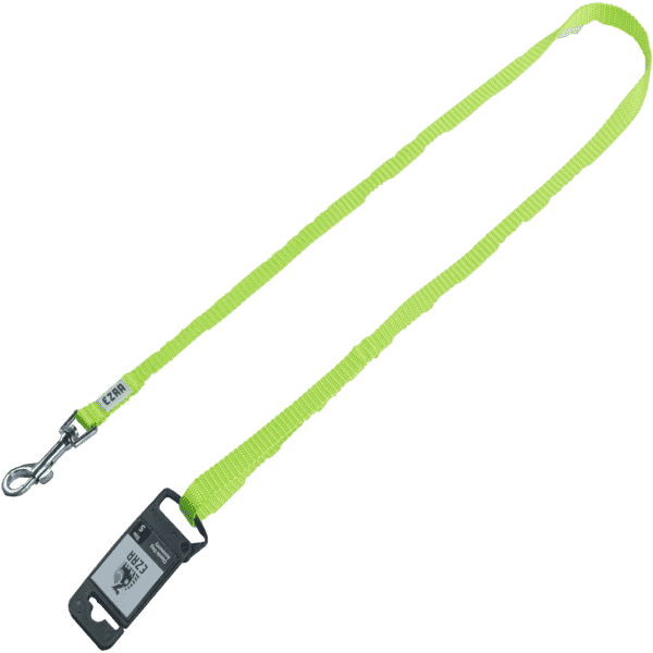 Ezra Classic Dog Leash - Kiwi