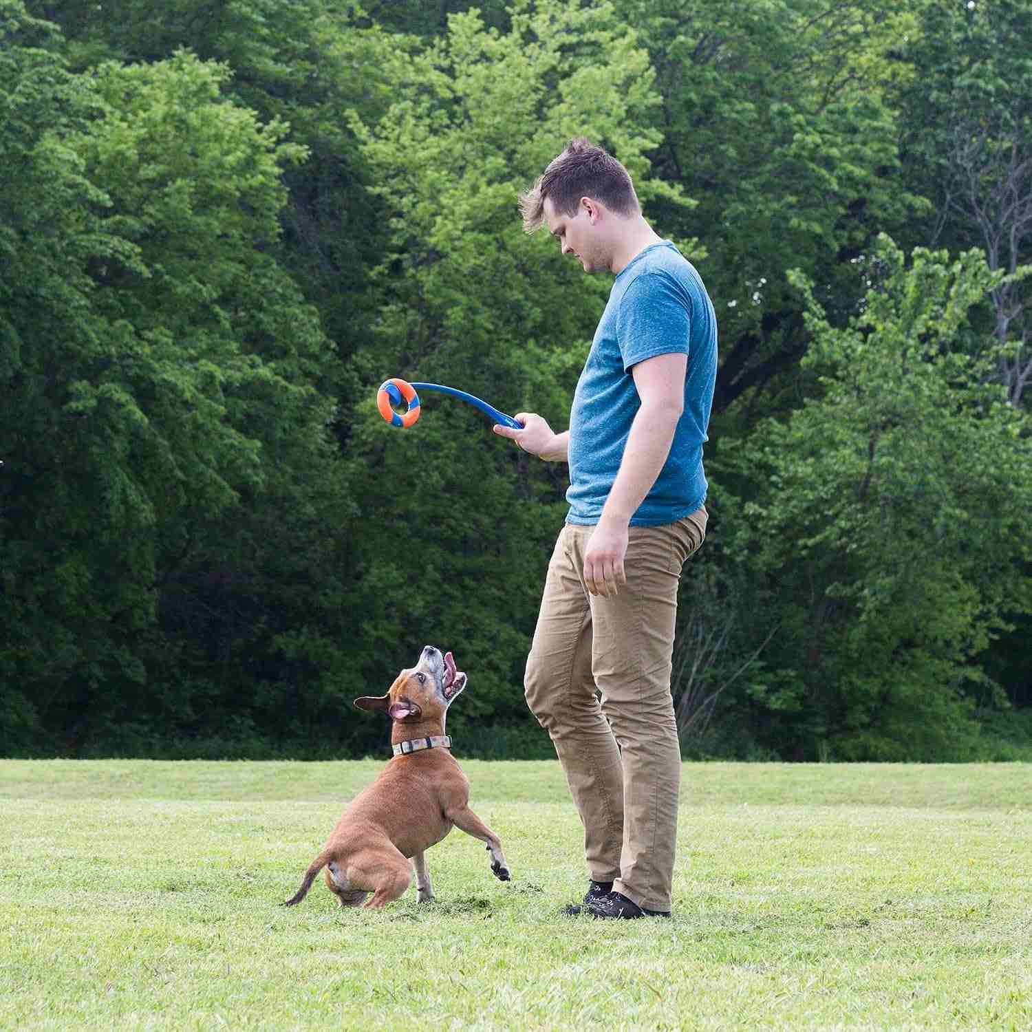 Chuckit Ring Chaser Launcher for Dogs
