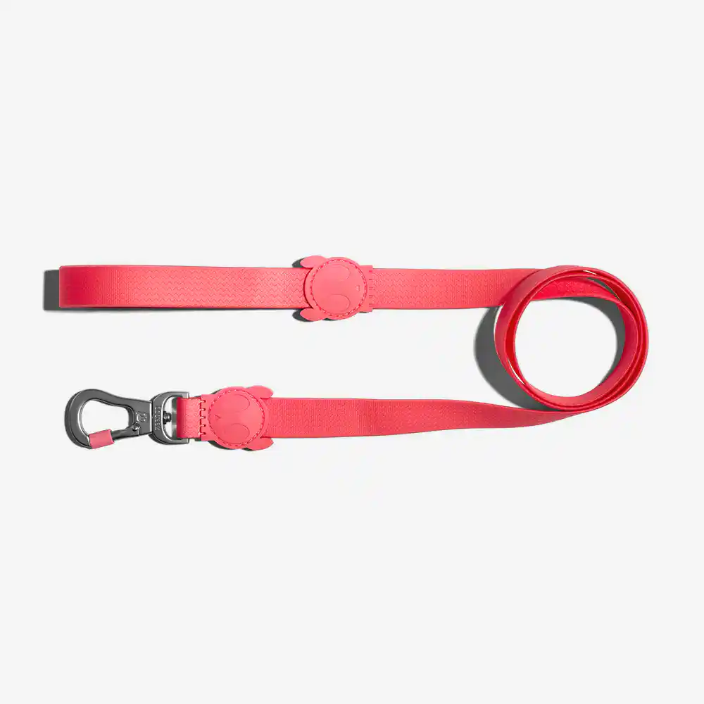 Zee.Dog Neopro Bubblegum Leash for Dogs