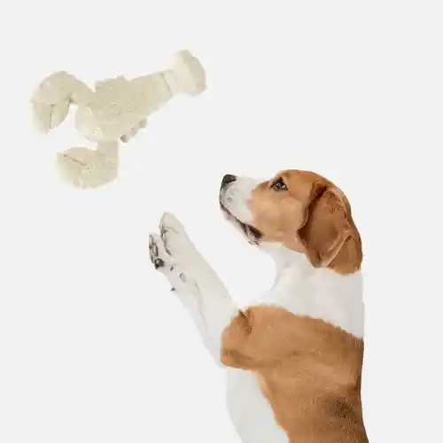 Barkbutler Fofos Durable Lobster Chew Toy for Dogs