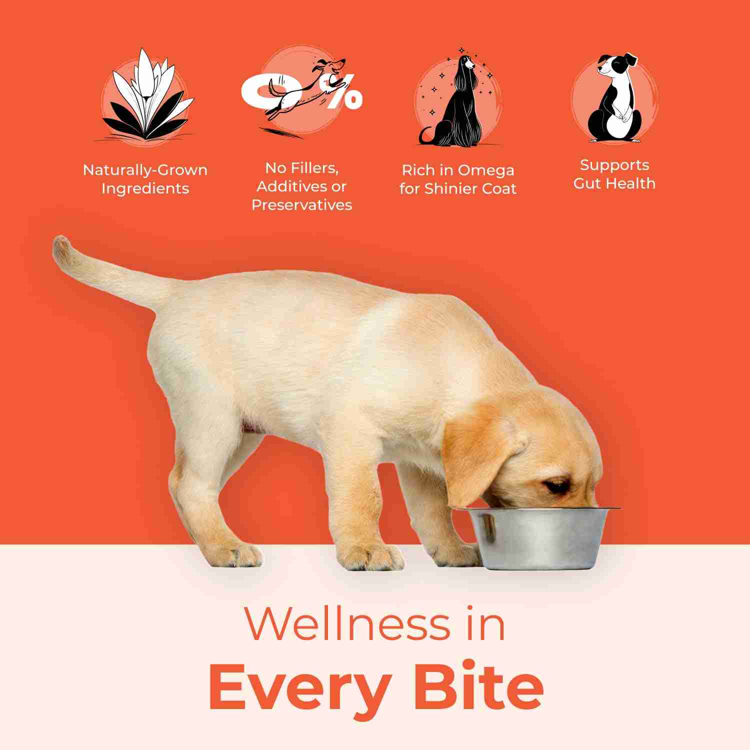 Human and the Beast The Mighty Waters Dry Food for Dogs, 1 kg