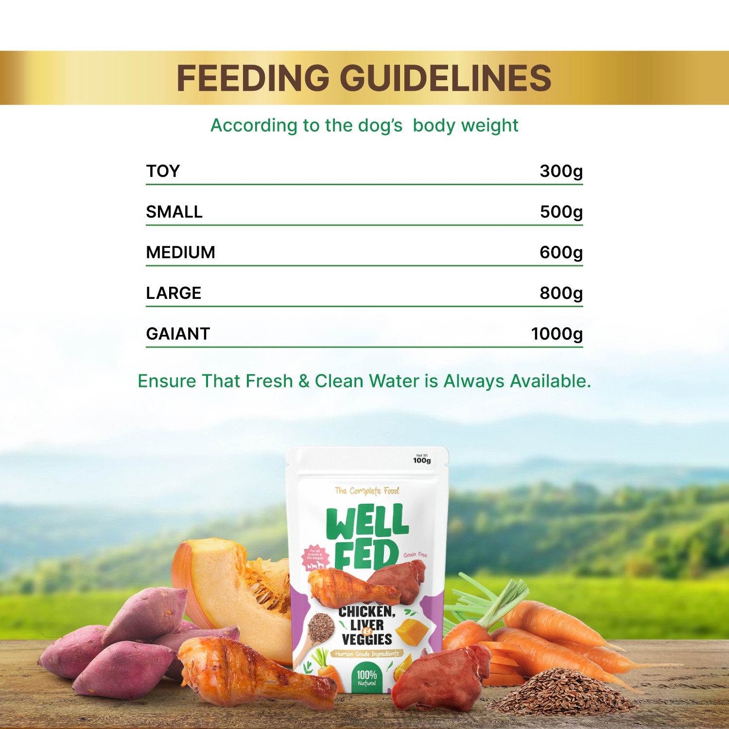 Well Fed Chicken Liver & Veggies Wet Dog Food 100 g