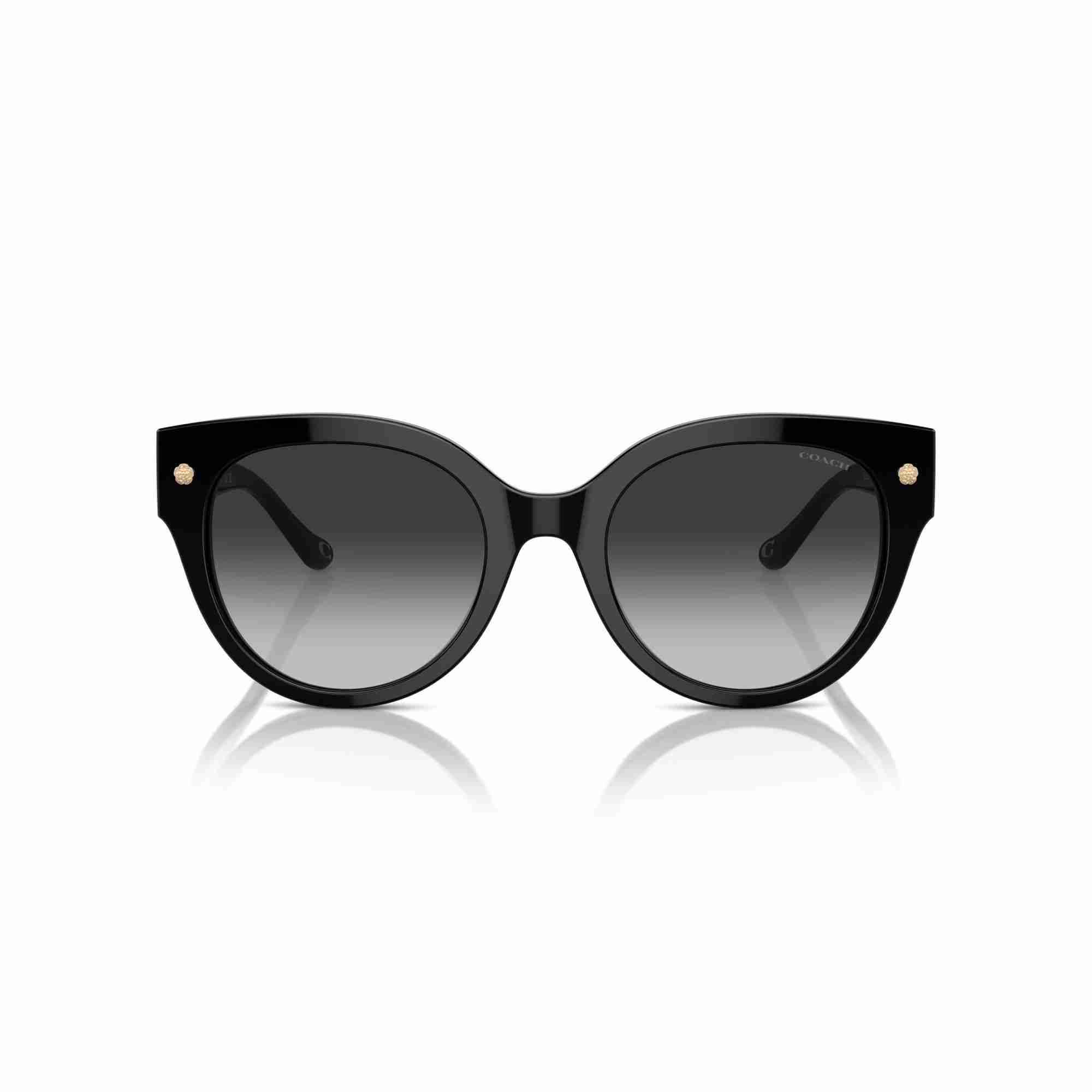 Charms Oversized Square Sunglasses