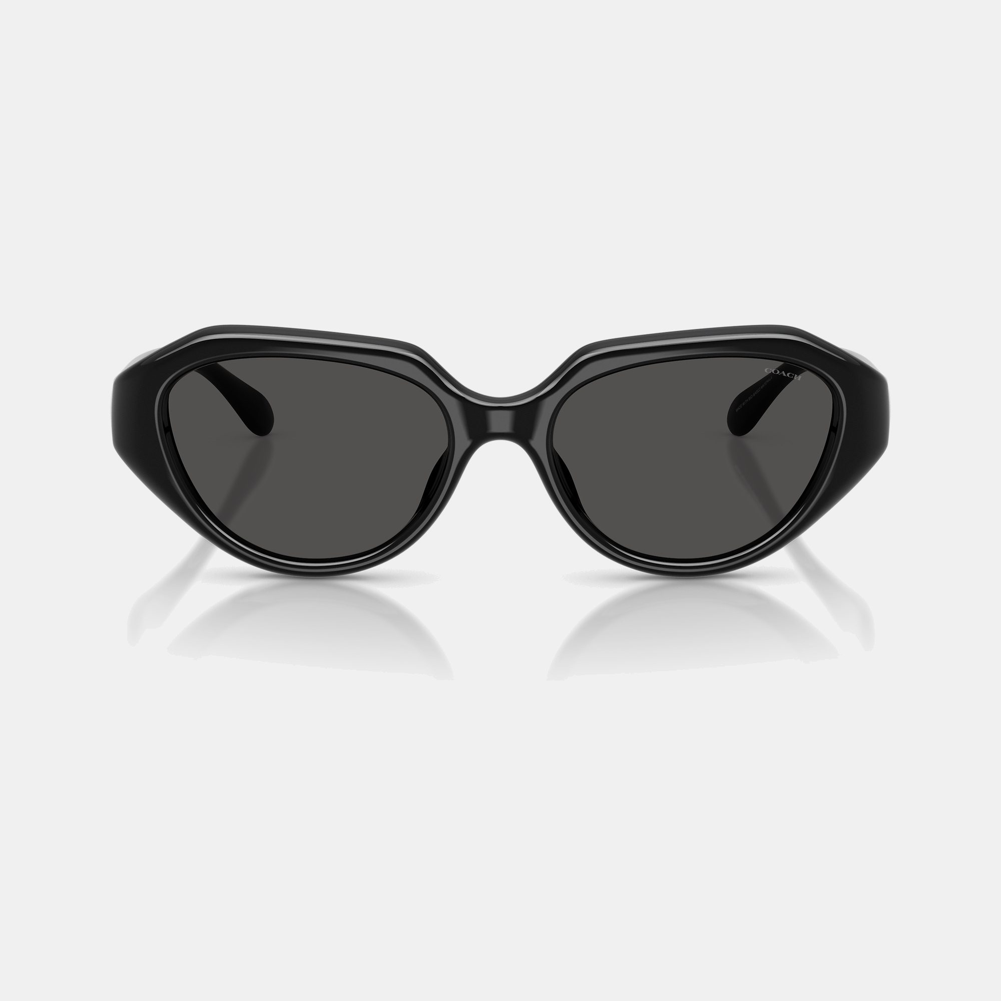 C Hardware Geometric Sunglasses