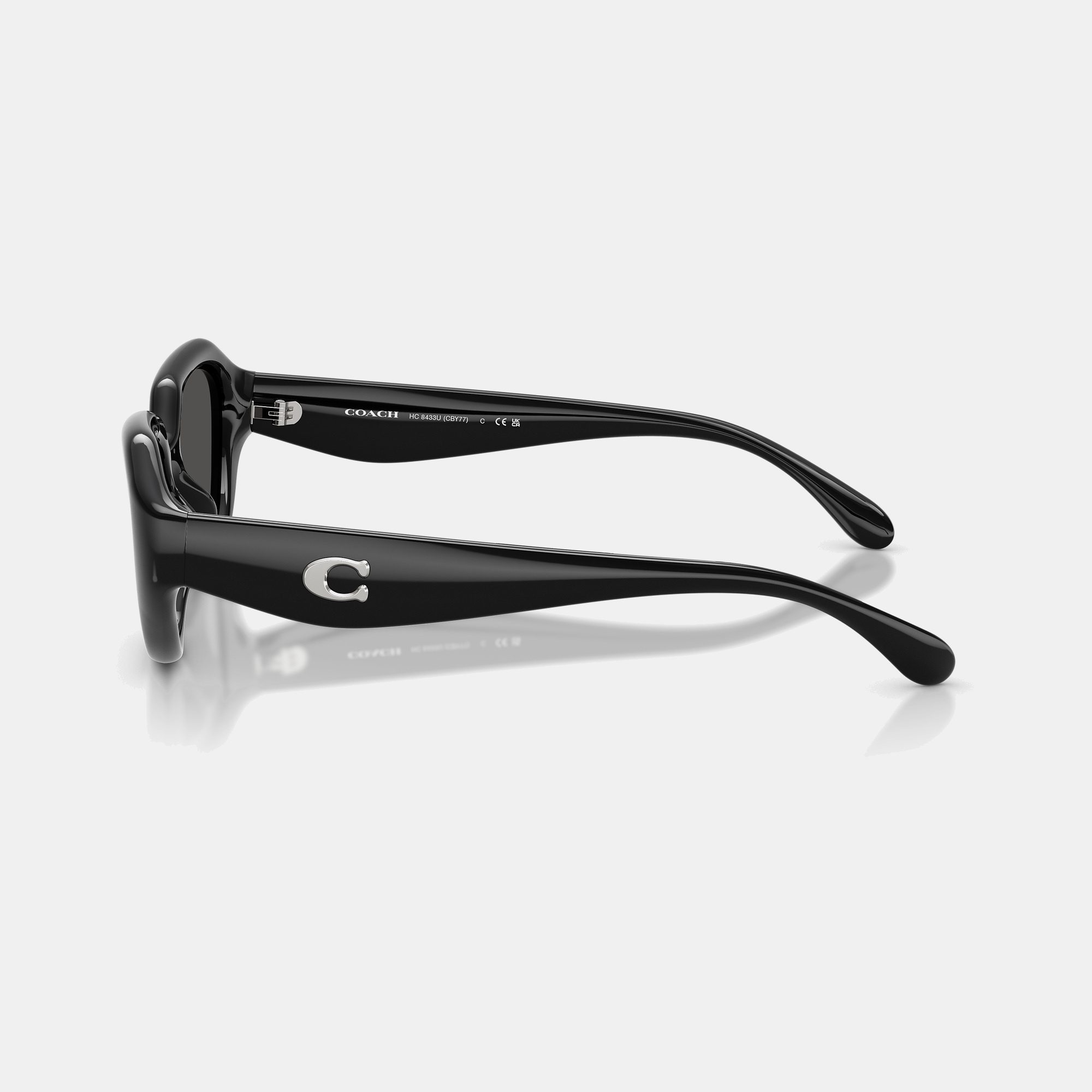 C Hardware Geometric Sunglasses
