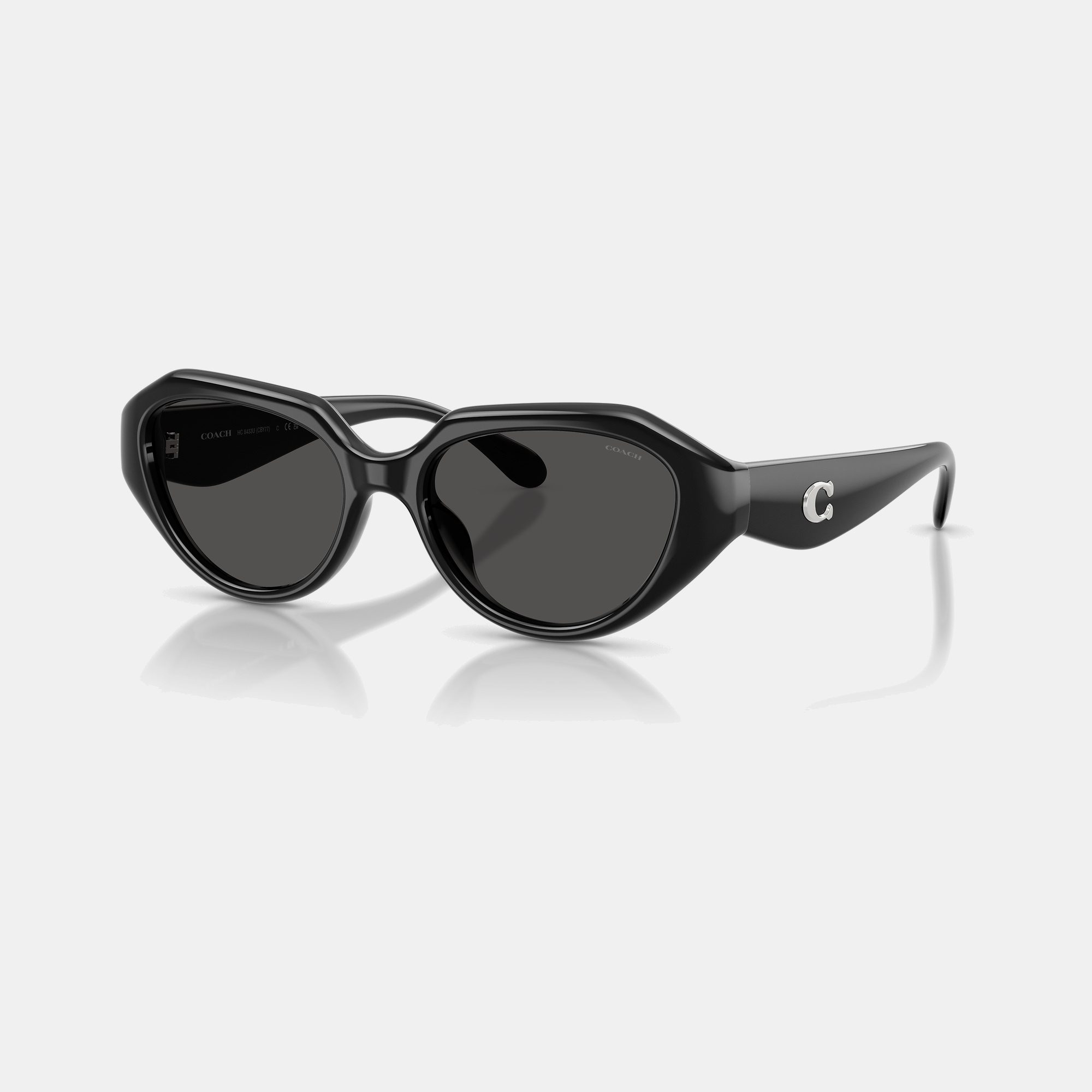 C Hardware Geometric Sunglasses