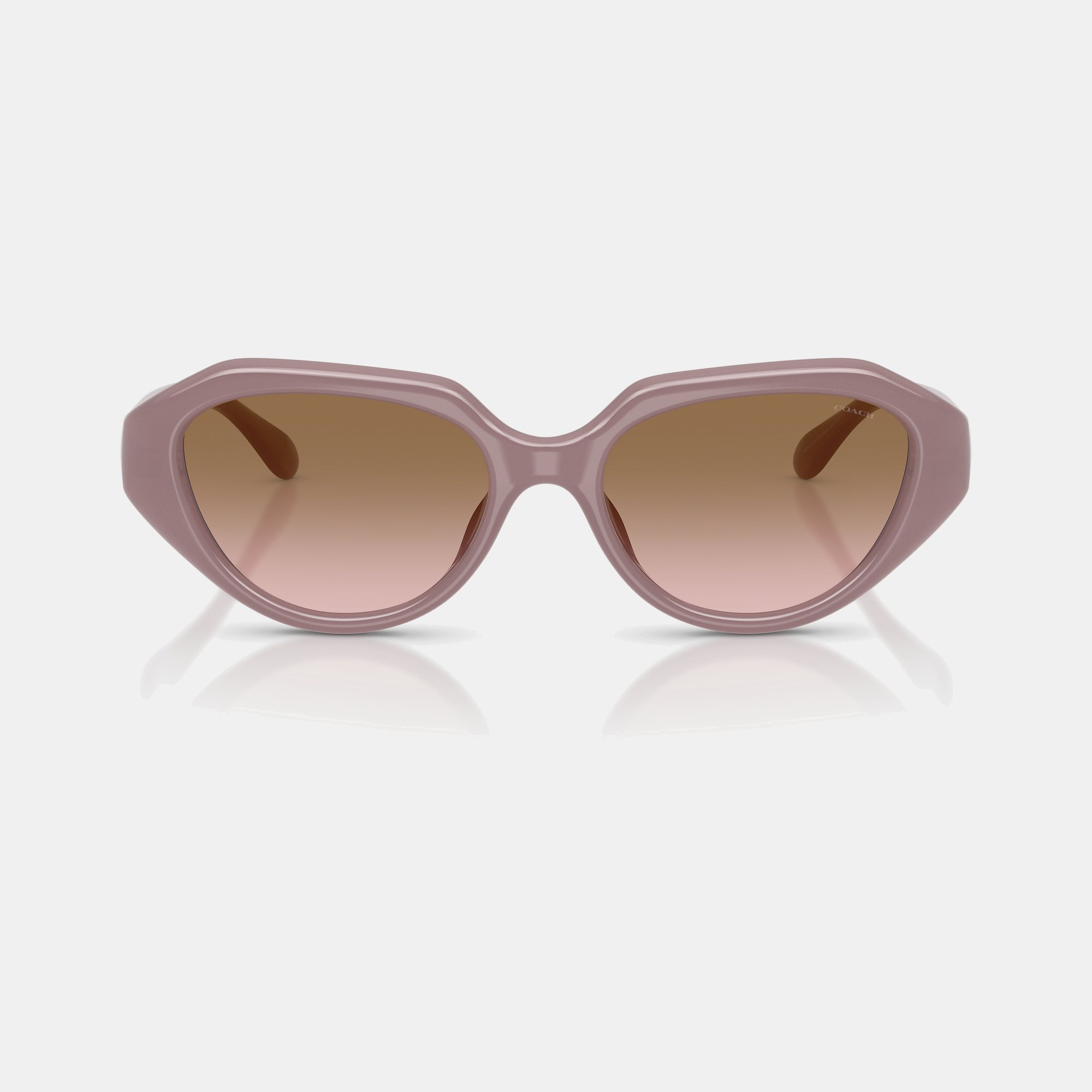 C Hardware Geometric Sunglasses