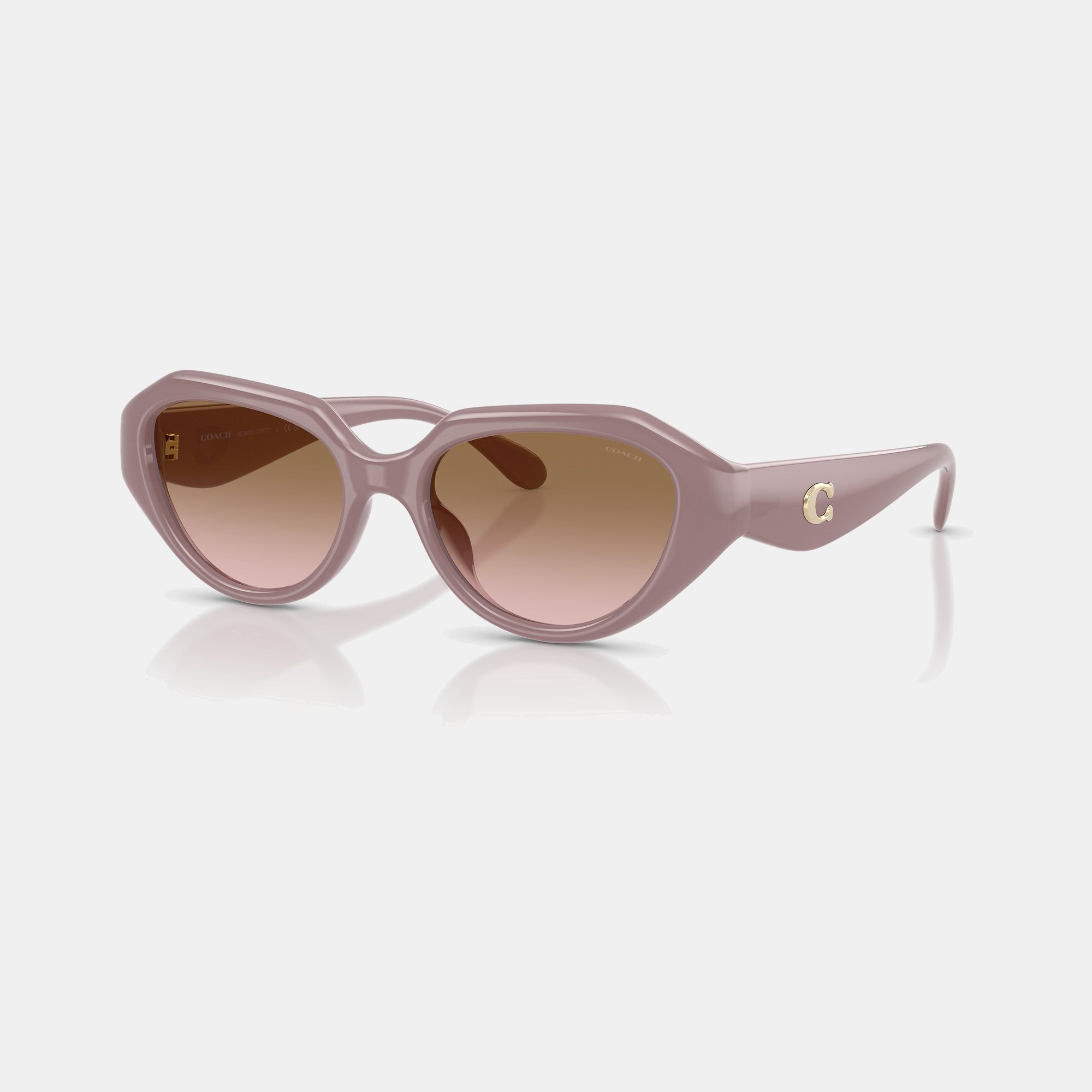 C Hardware Geometric Sunglasses
