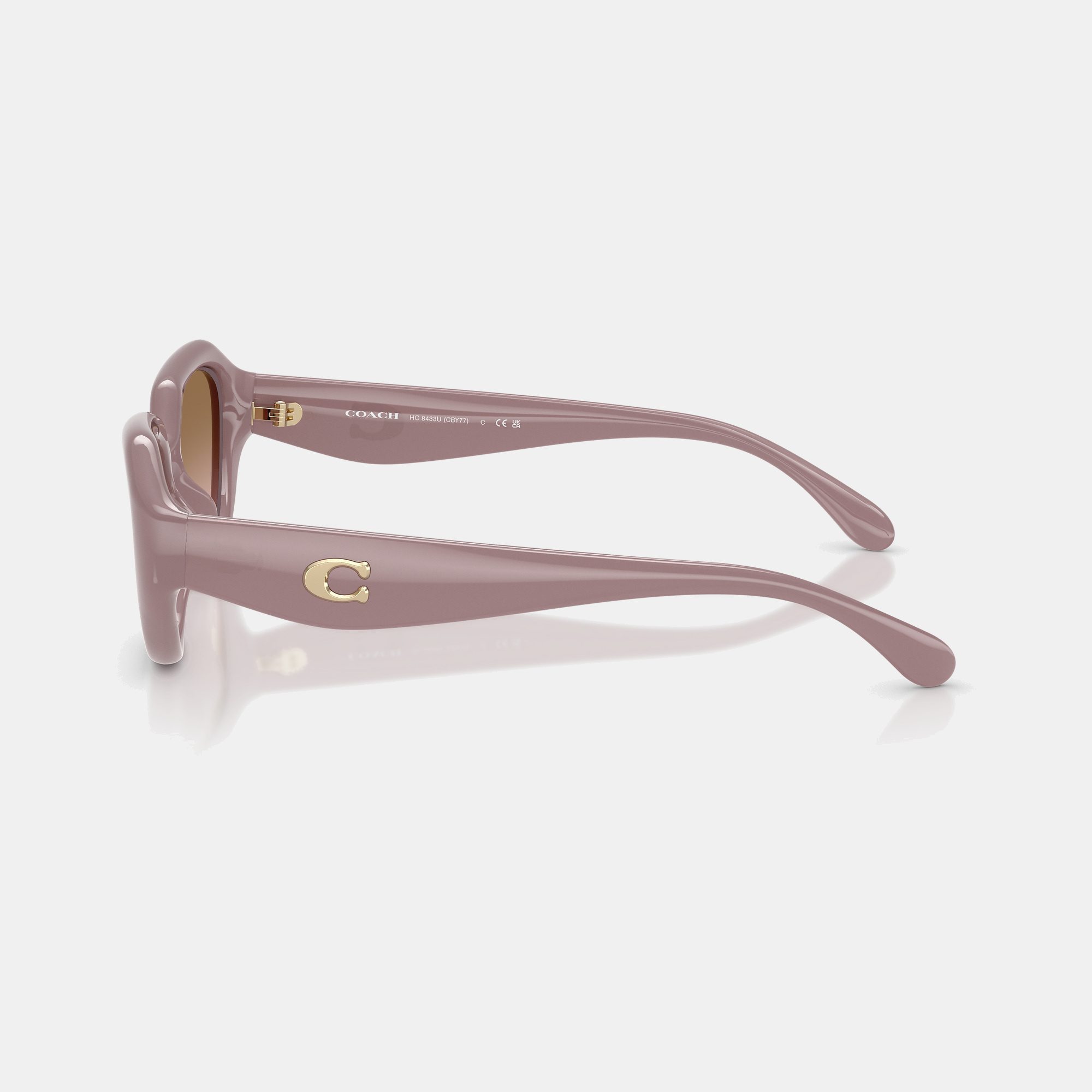 C Hardware Geometric Sunglasses