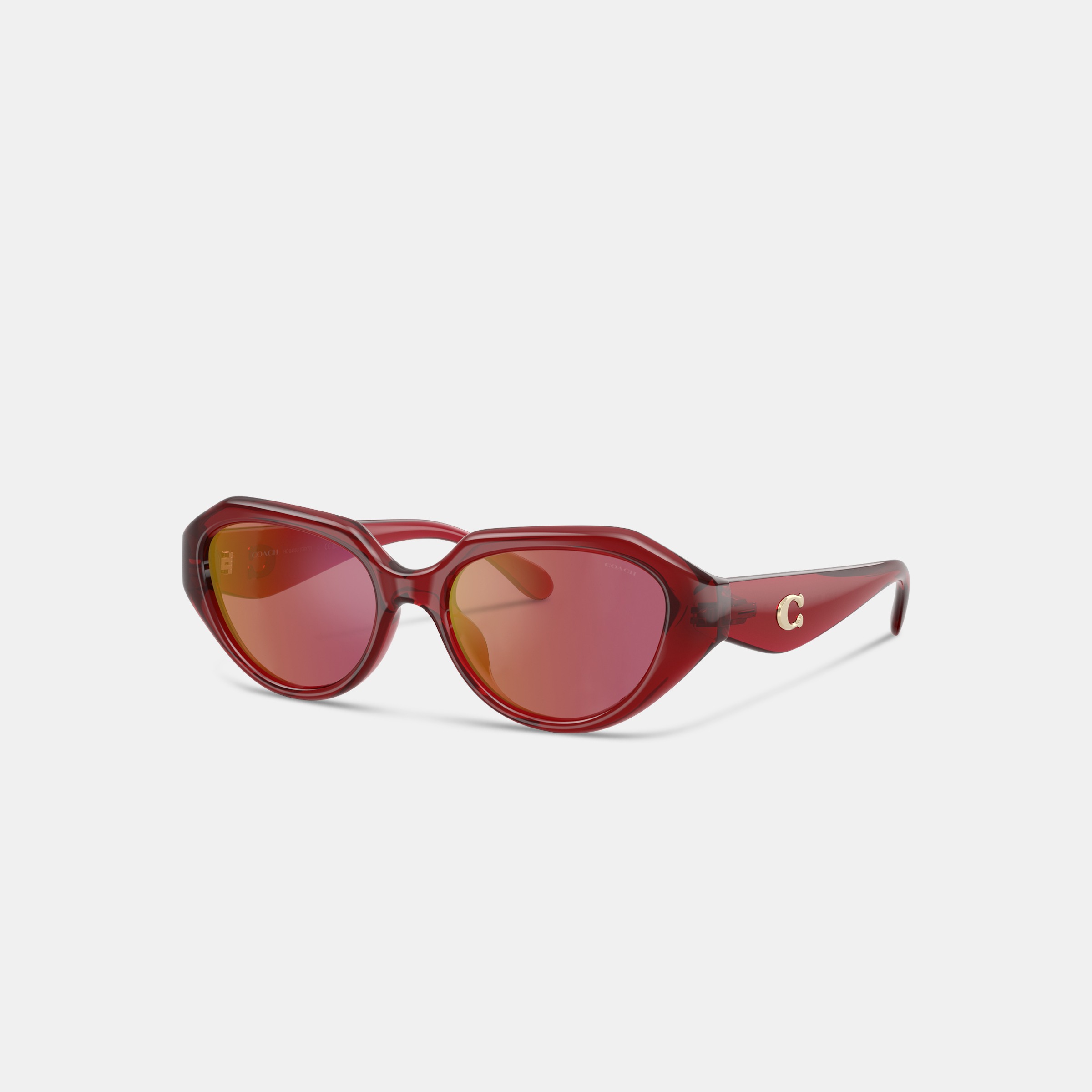C Hardware Geometric Sunglasses