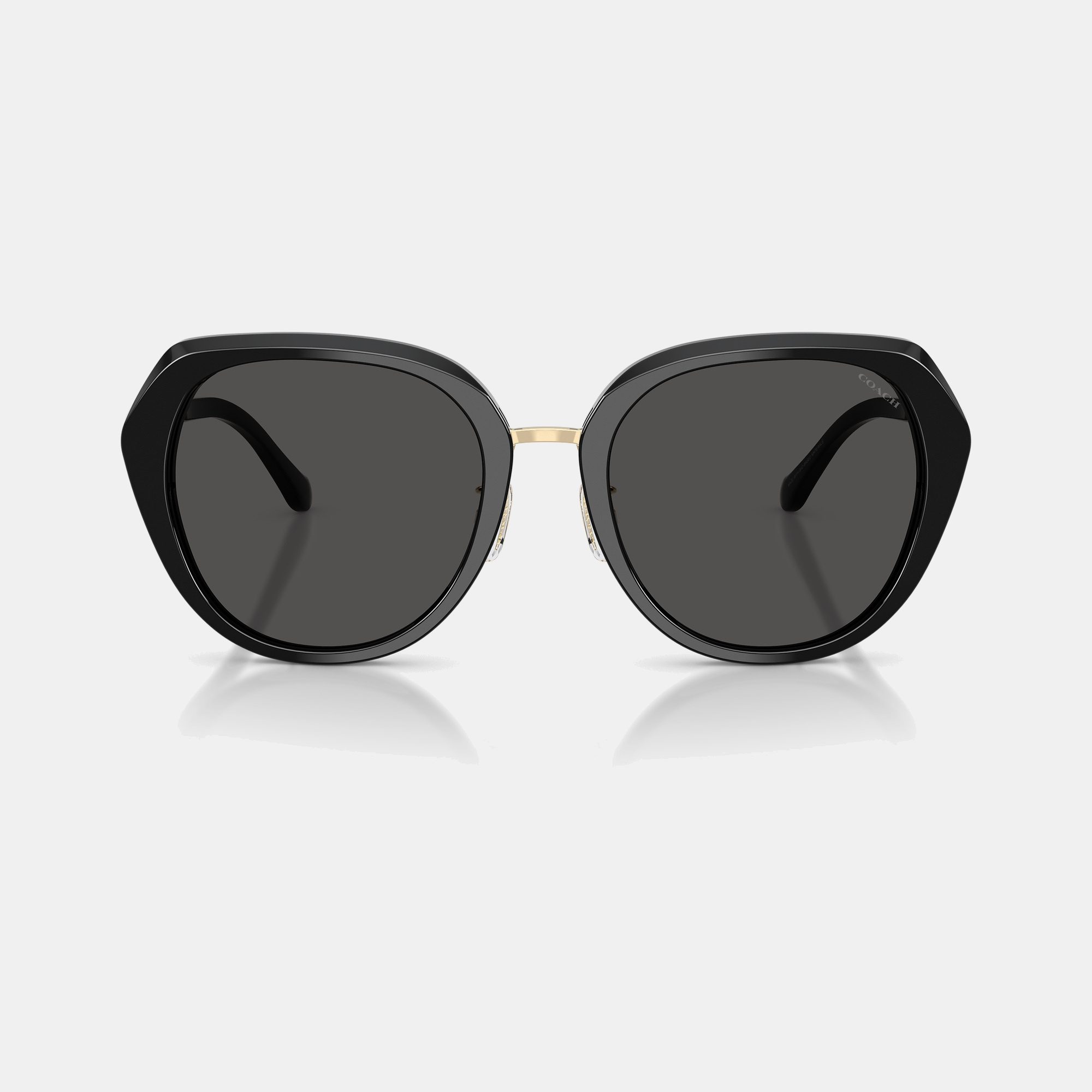 Maxi Sculpted C Oversized Round Sunglasses