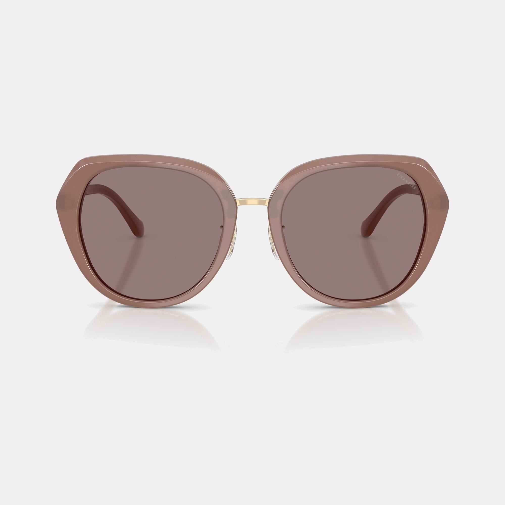Maxi Sculpted C Oversized Round Sunglasses