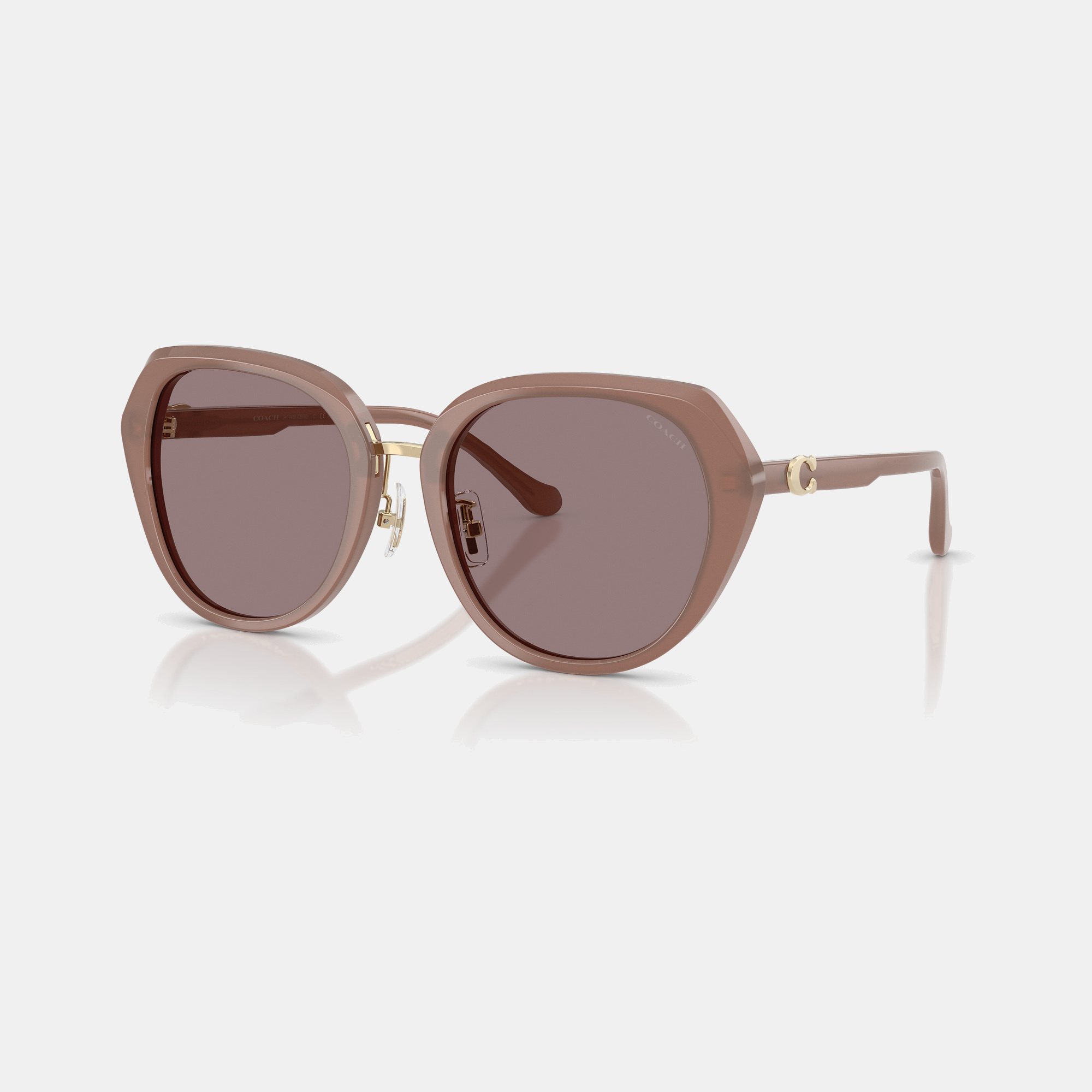 Maxi Sculpted C Oversized Round Sunglasses