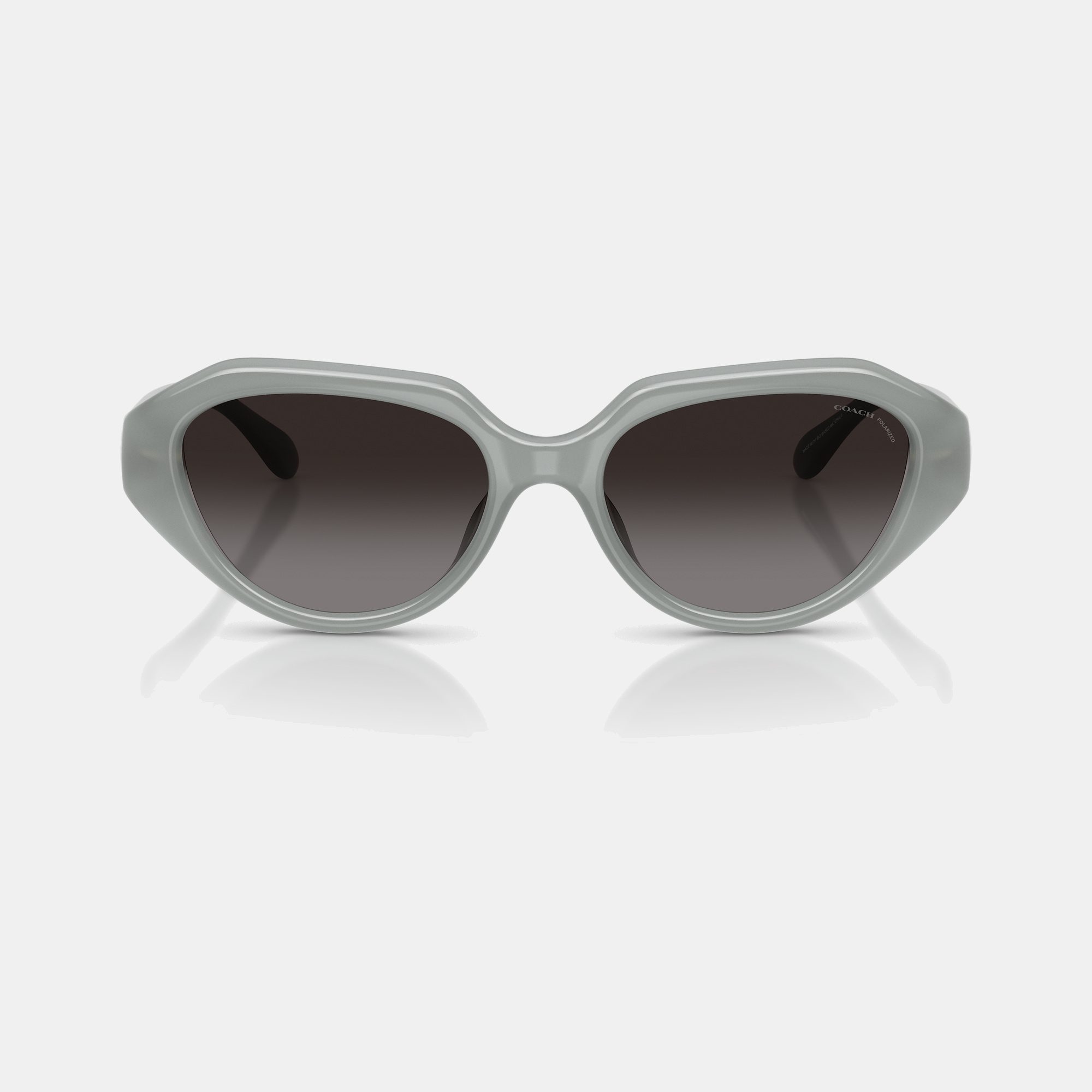 C Hardware Geometric Sunglasses