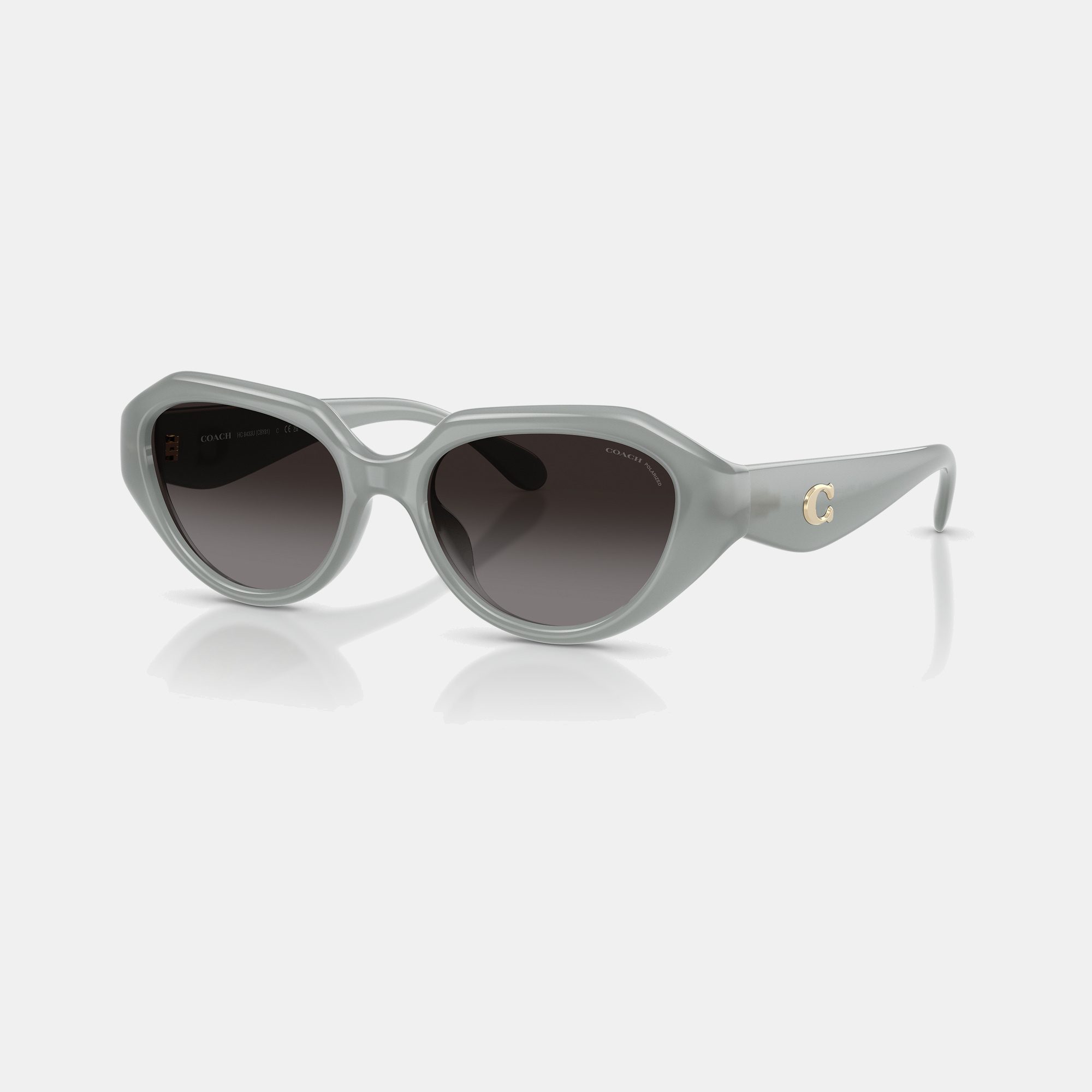 C Hardware Geometric Sunglasses