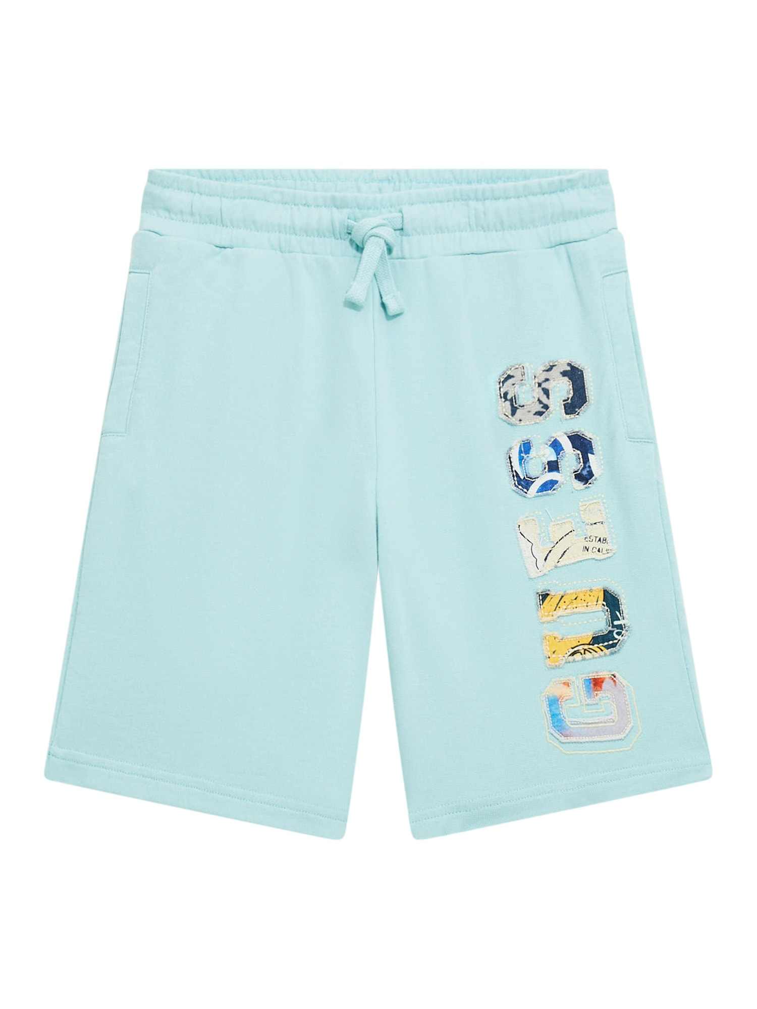 Aqua Self Design Shorts
