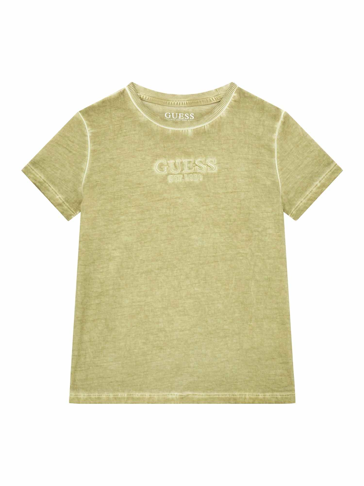 Green Round Neck Short Sleeves Solid T-Shirt