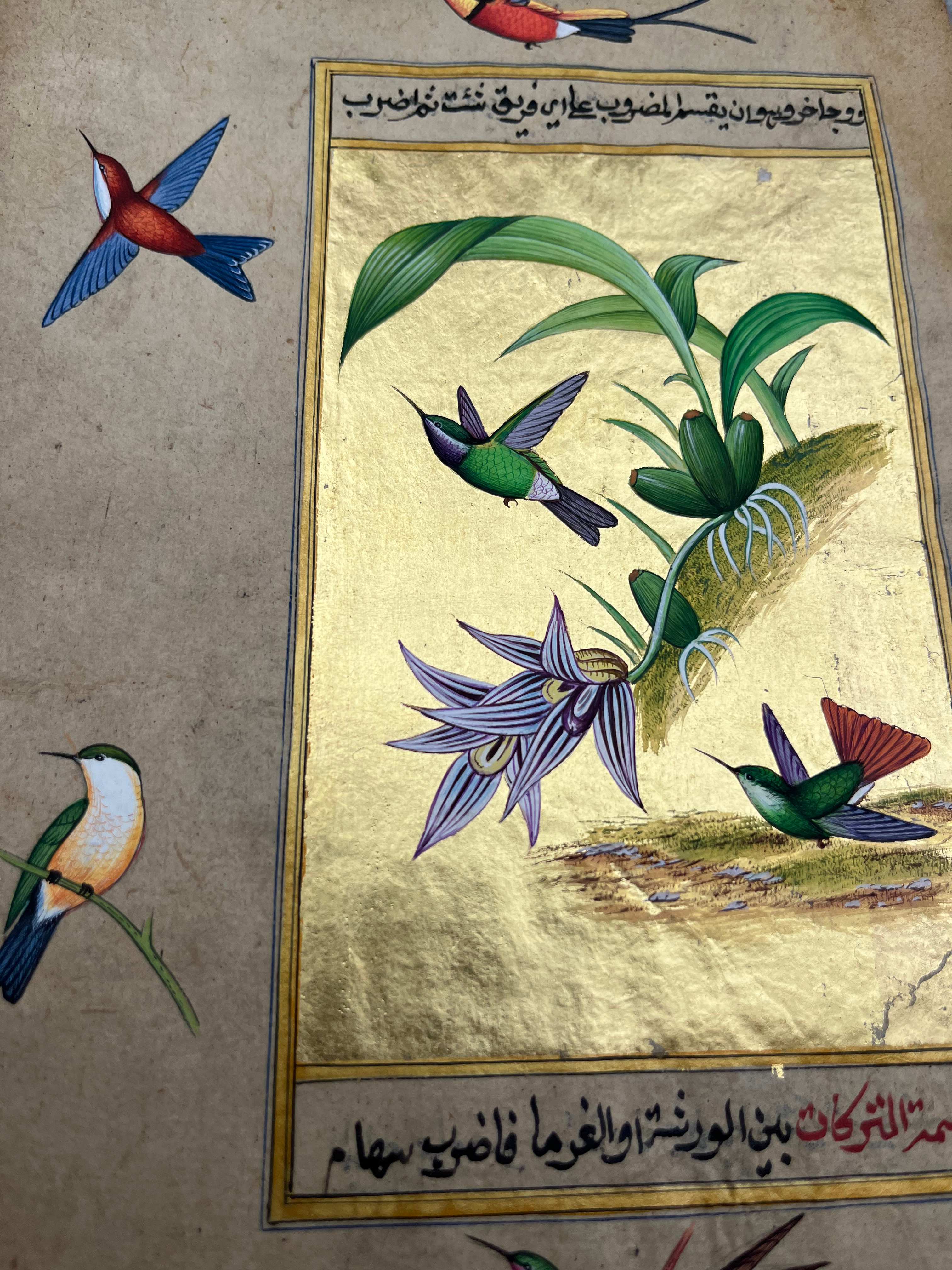 Humming Bird Miniature Painting