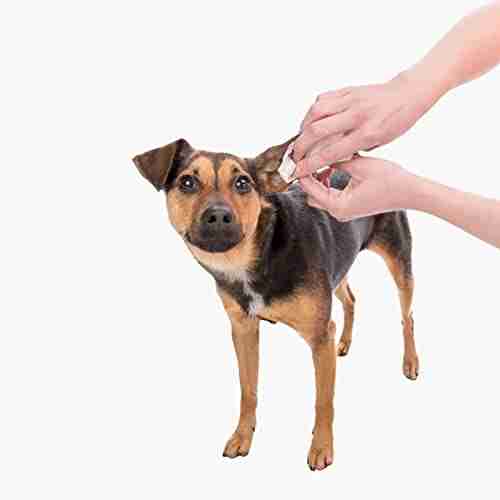 Trixie Ear Care Wipes