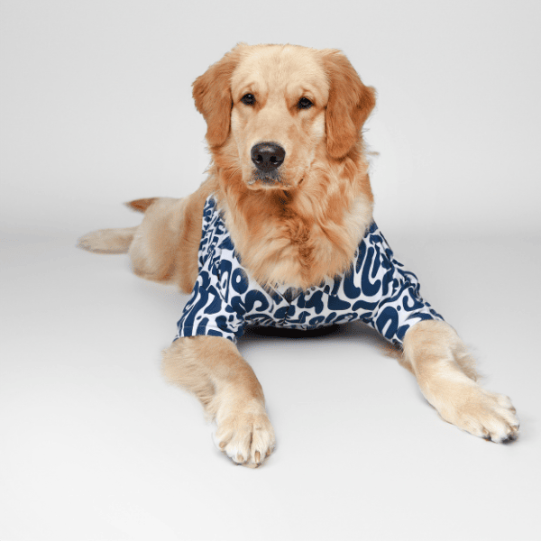 Ezra Polyester Blend Dog Shirt – Abstract Blue