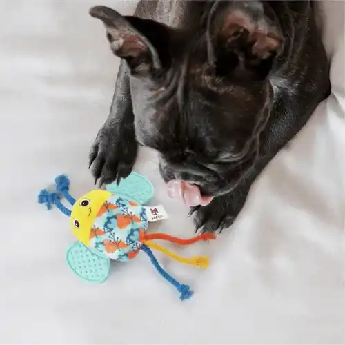 Barkbutler Fofos Puppy Bee Toy for Dogs, 21 X 16 CM