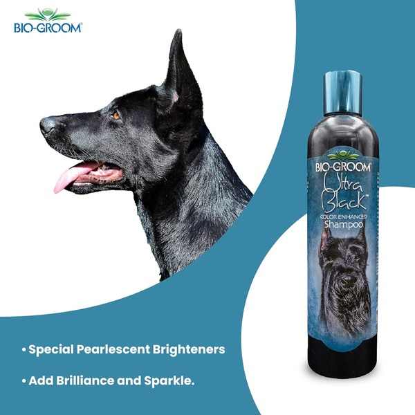 Bio-Groom Ultra Black Color Enhancer Shampoo