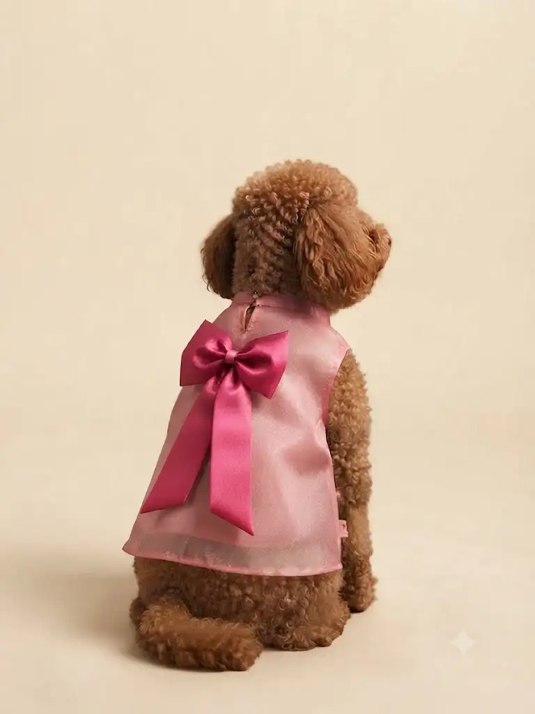 Pawsh Pet Glam Blush Bow Dress for Dogs