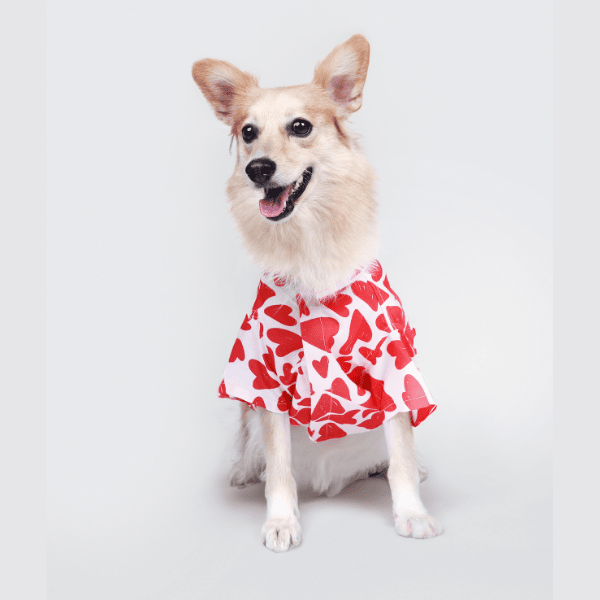 Ezra Polyester Blend Dog Shirt - Heart Abstract