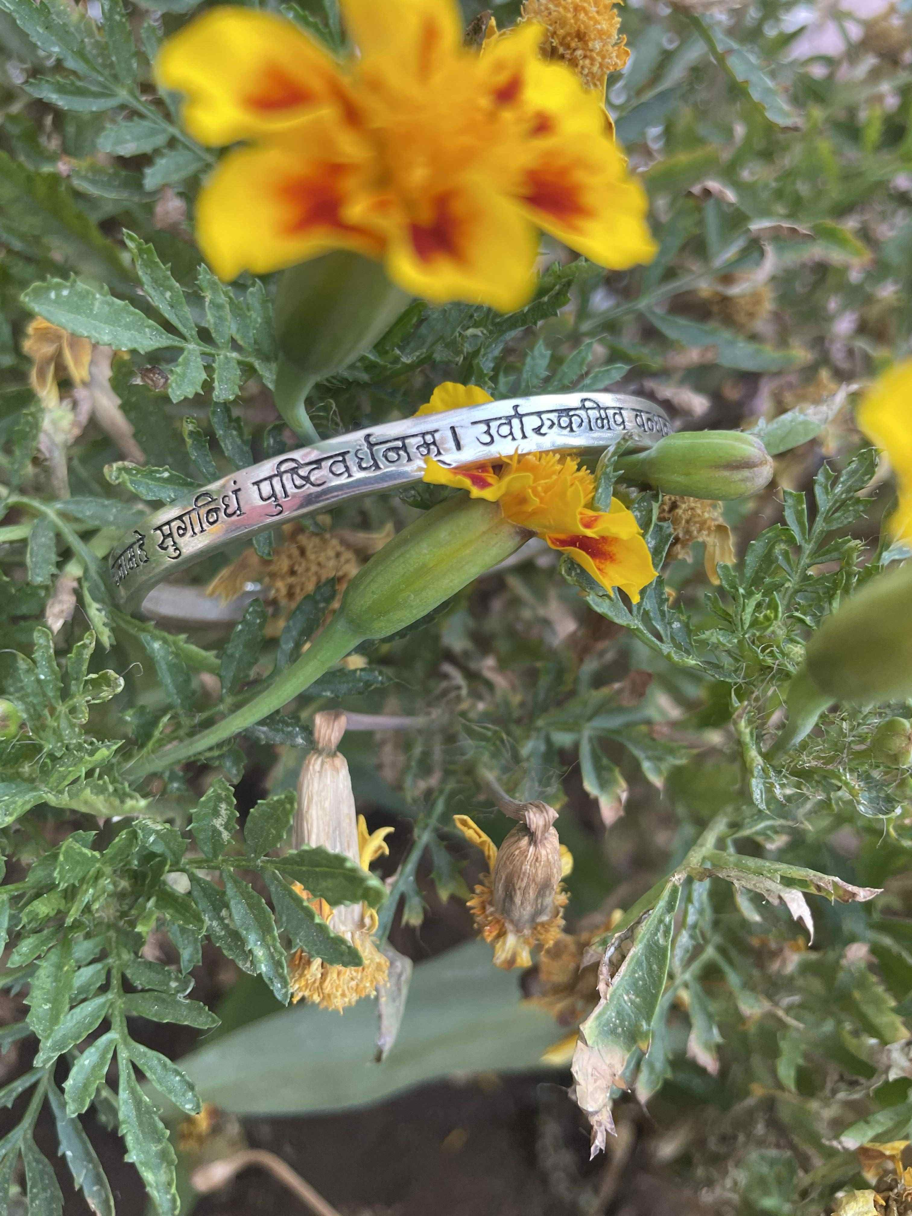 呪みちる MANTRA 2025年最新】Yahoo!オークション -呪みちる