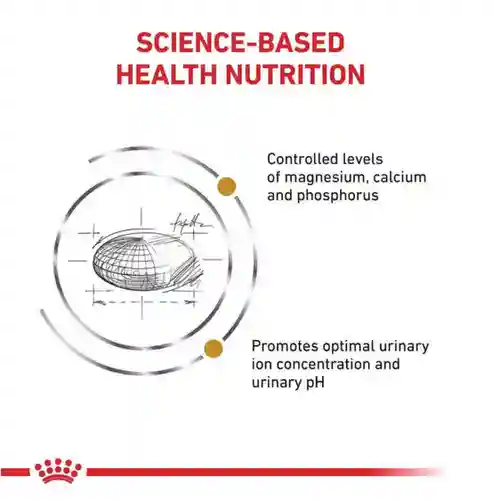 Royal Canin Urinary S/O Adult Cat Dry Food