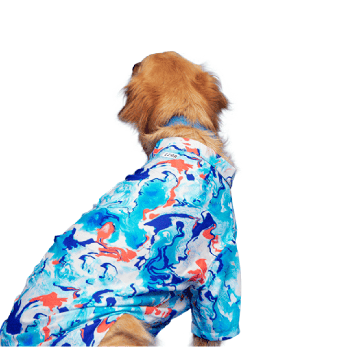 Ezra Polyester Blend Dog Shirt – Fluid
