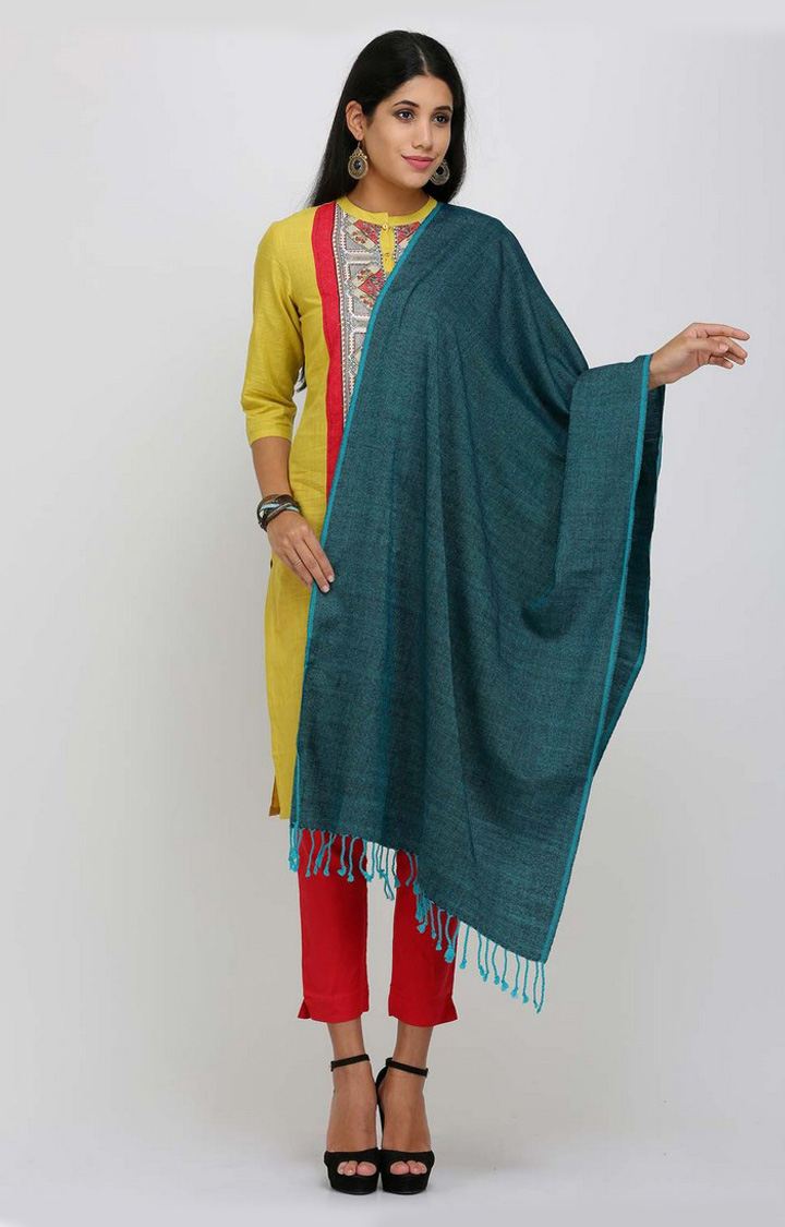 Aurelia Women Blue Color Shawl