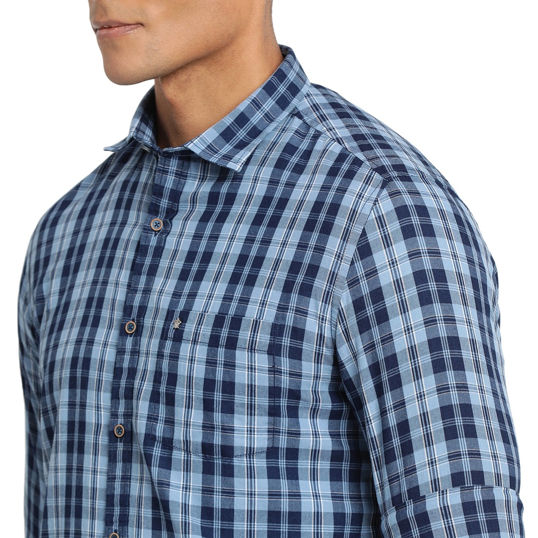 Turtle Shirts