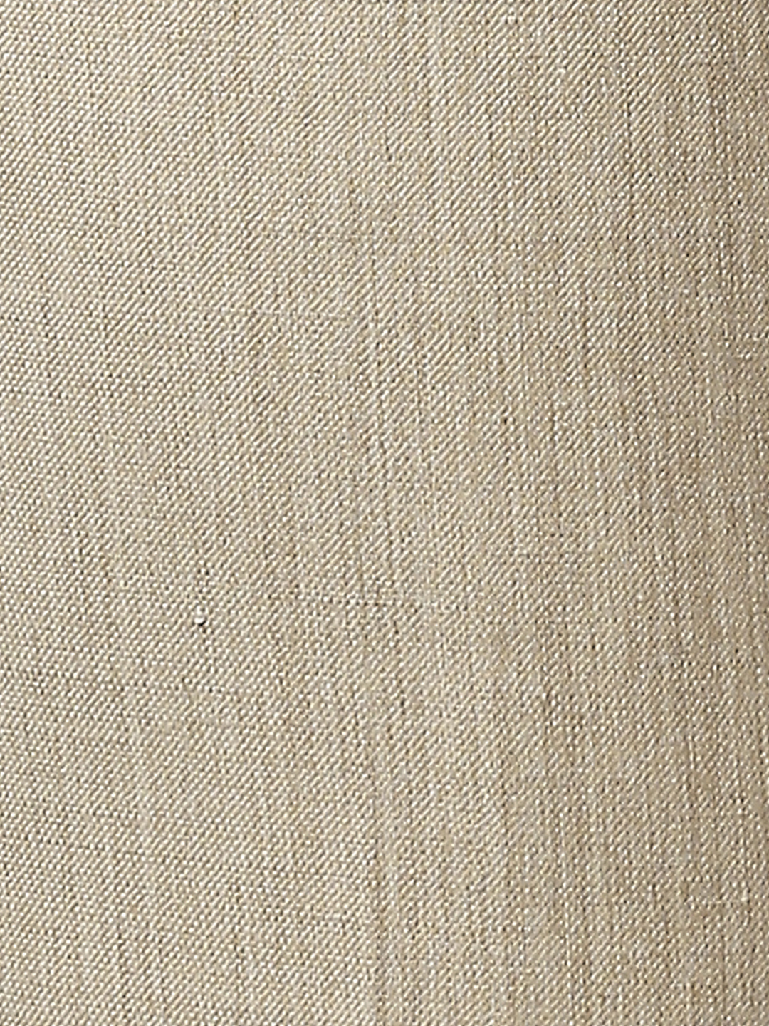 Raymond Beige Chinos For Men