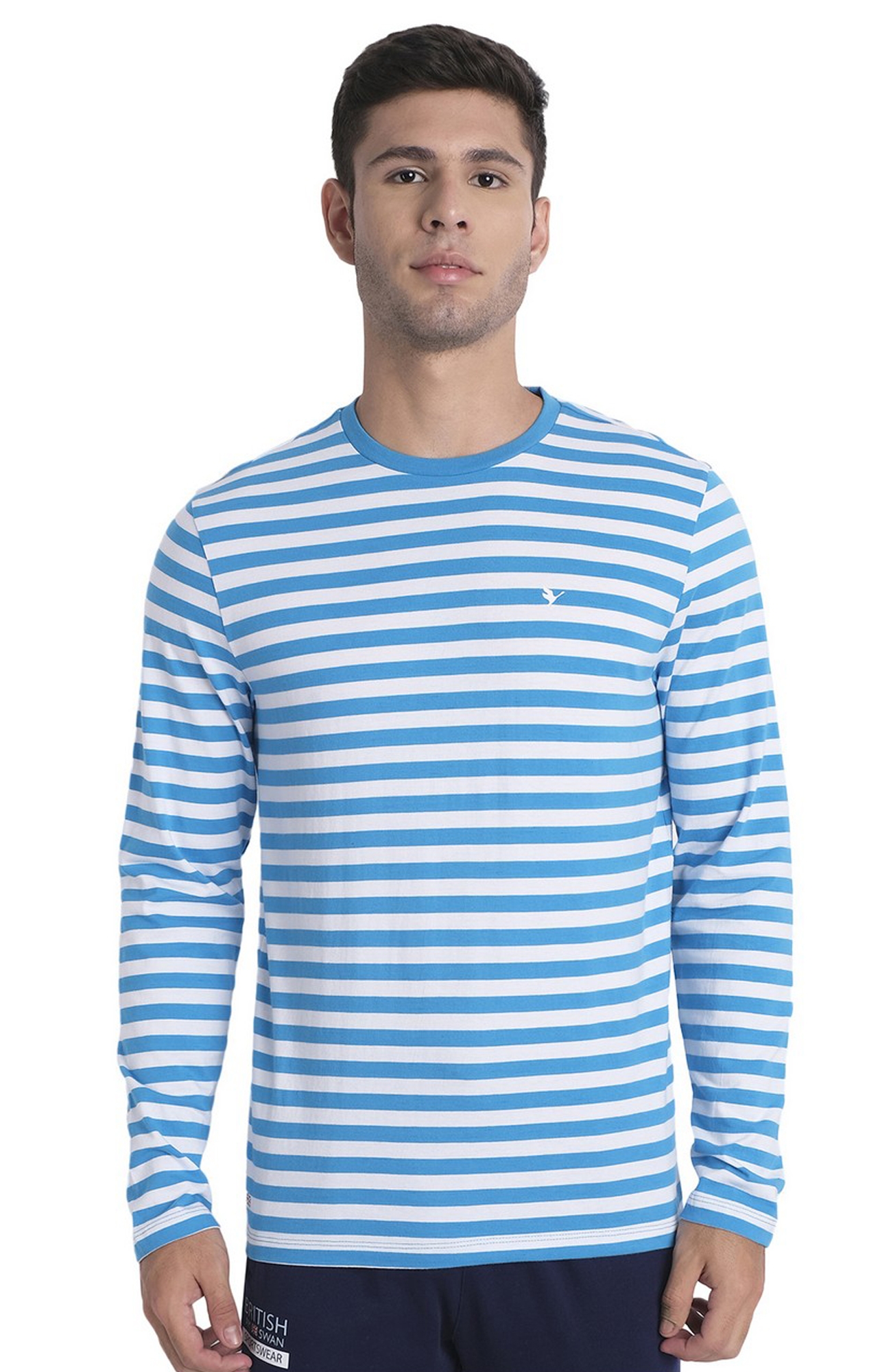 Men's Blue and White Cotton Striped Regular T-Shirt