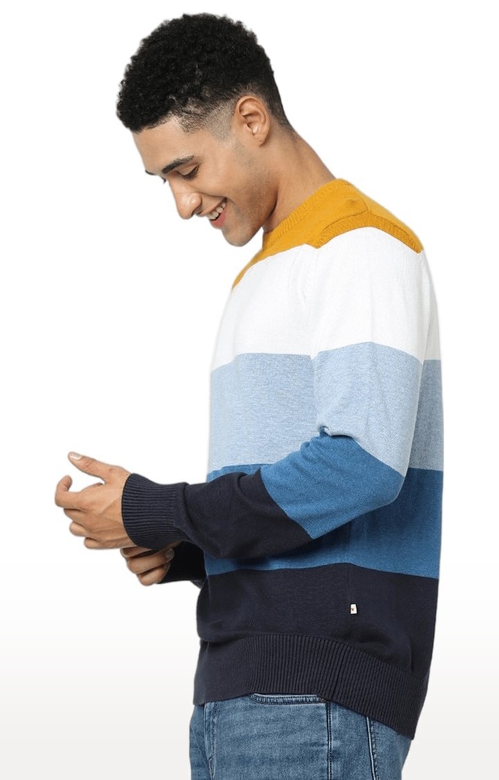 Men's Multi Striped Sweaters