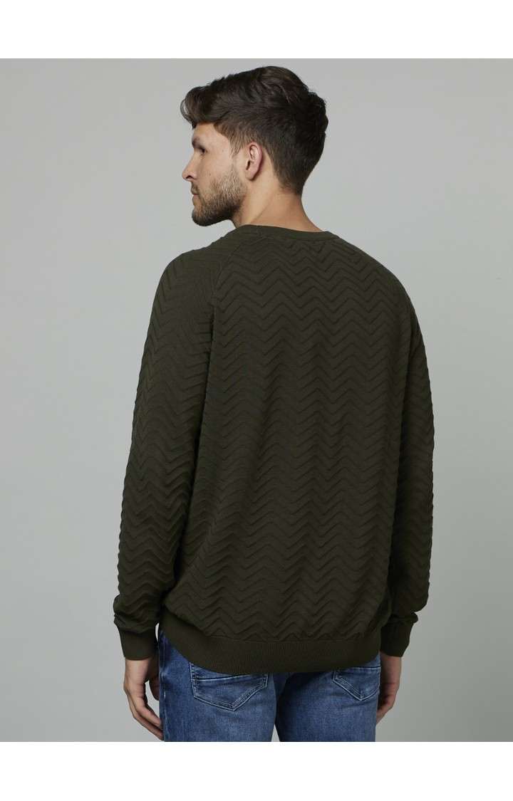 Men's Green Textured Sweaters