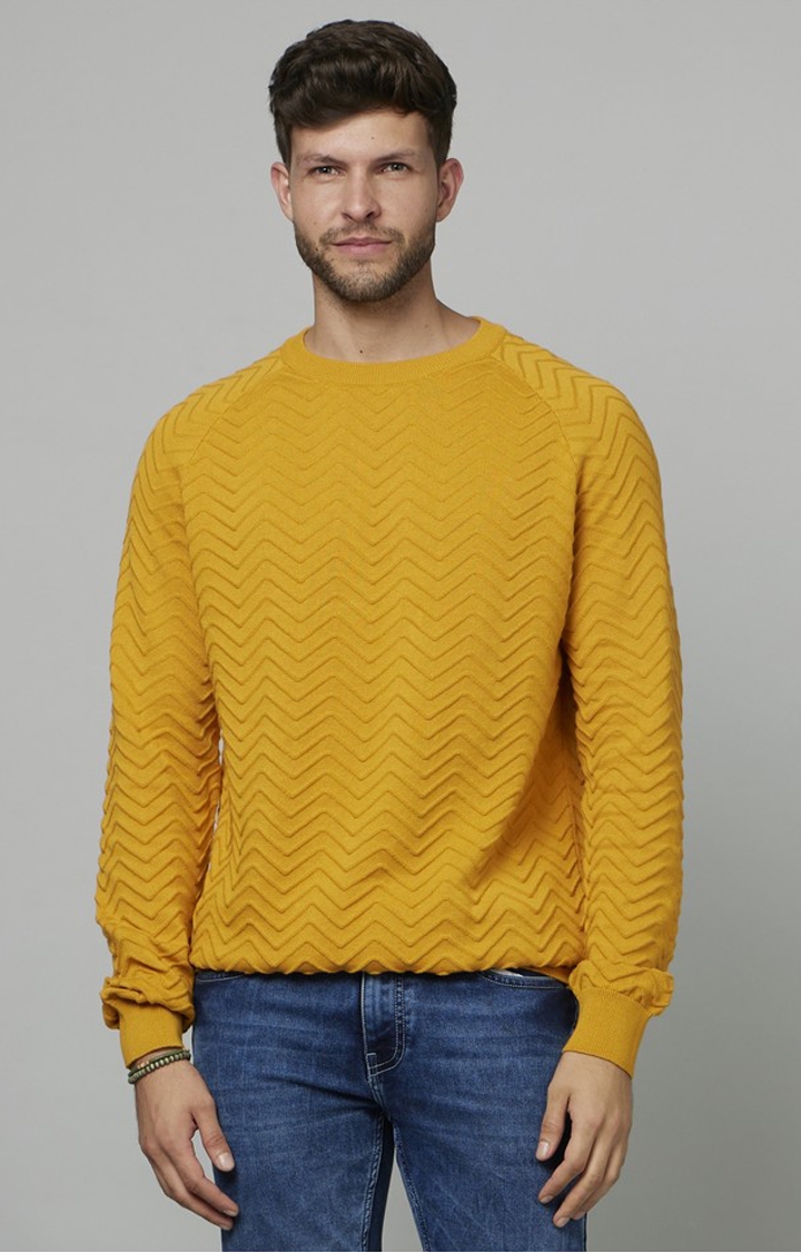 celio | Men's Yellow Textured Sweaters