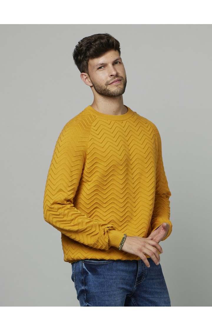 Men's Yellow Textured Sweaters
