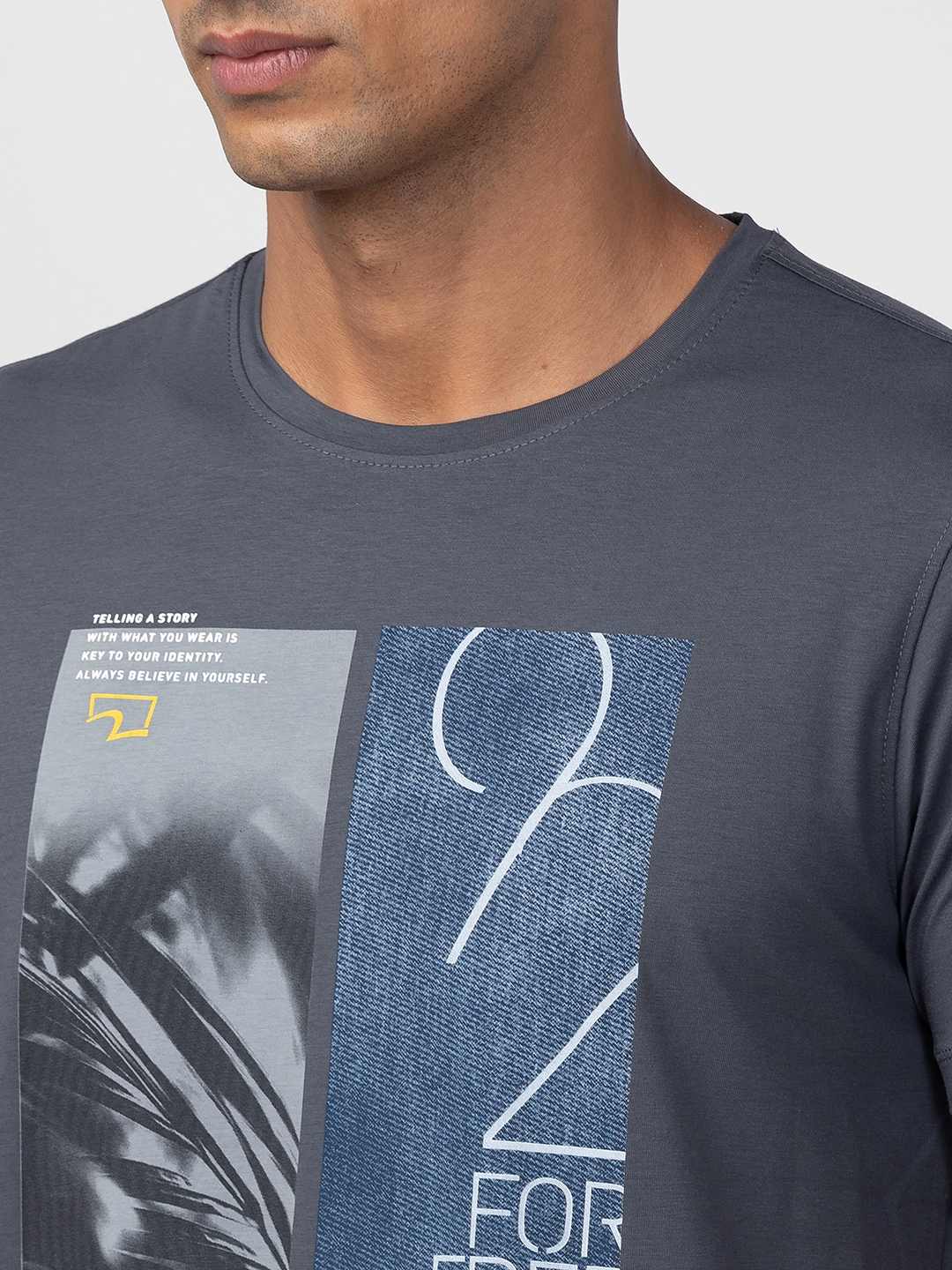 spykar | Spykar Men Slate Grey Cotton Regular Fit Half Sleeve Printed T-Shirt 4