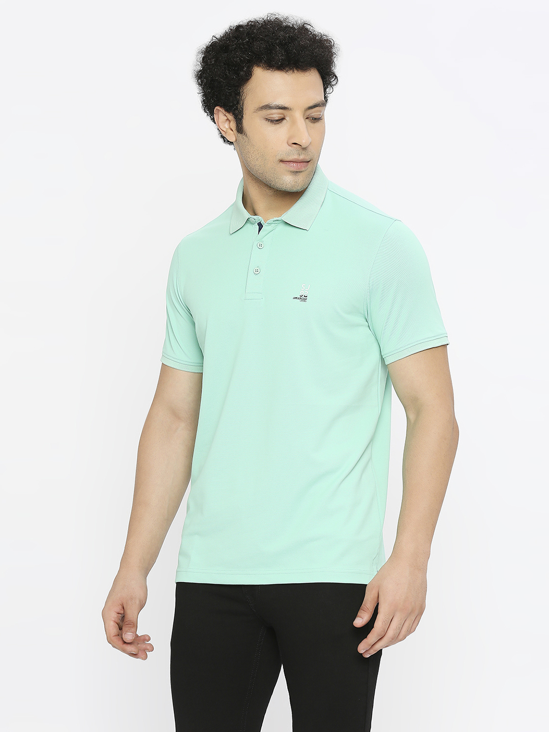 Spykar Men Ice Green Blended Regular Fit Half Sleeve Plain Polo Tshirt