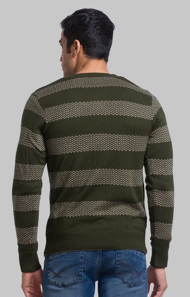PARX | PARX Regular Fit Green Sweater For Men 4
